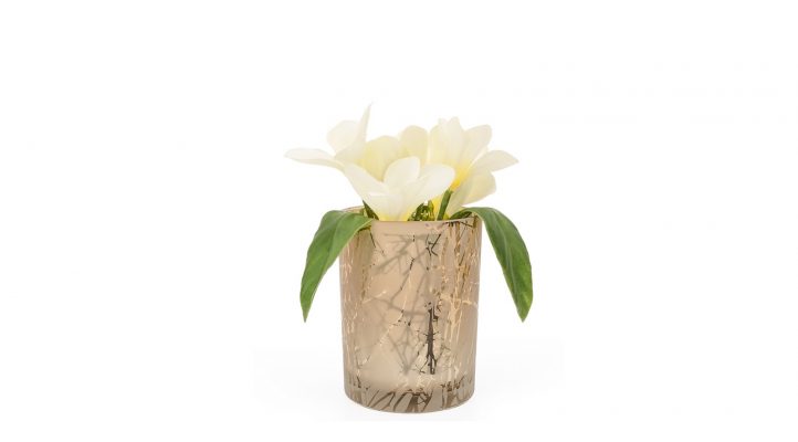 Branch-Silhouette-Etched-Gold-Mirror-4x5-Hurricane-Vase-1