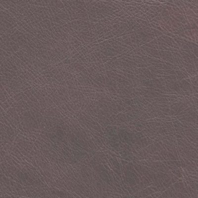 VERM CHE_500_500_80