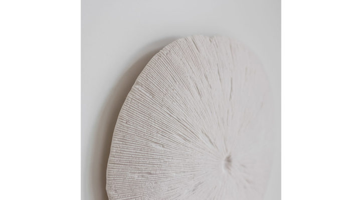 sand-dollar-2