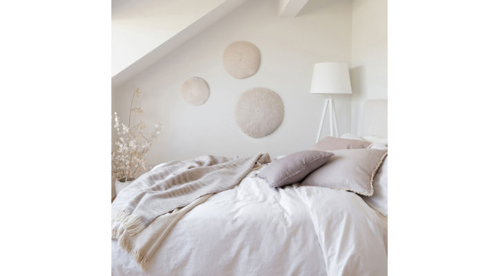 sand-dollar-3