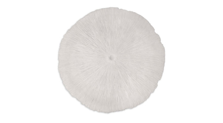 sand-dollar-large-1