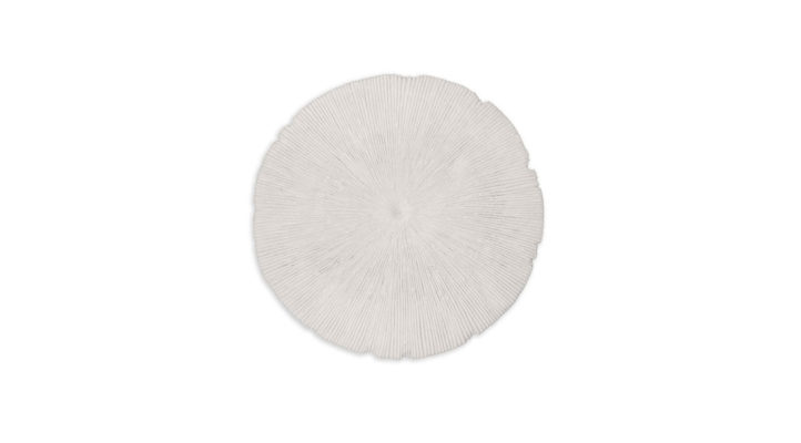 sand-dollar-small-1