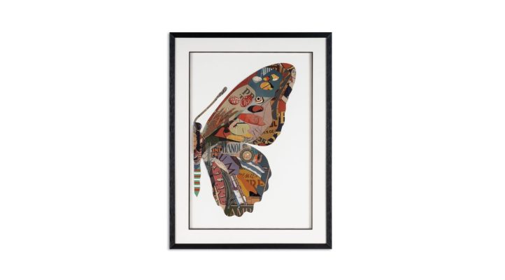 Delicate Butterfly I (5)