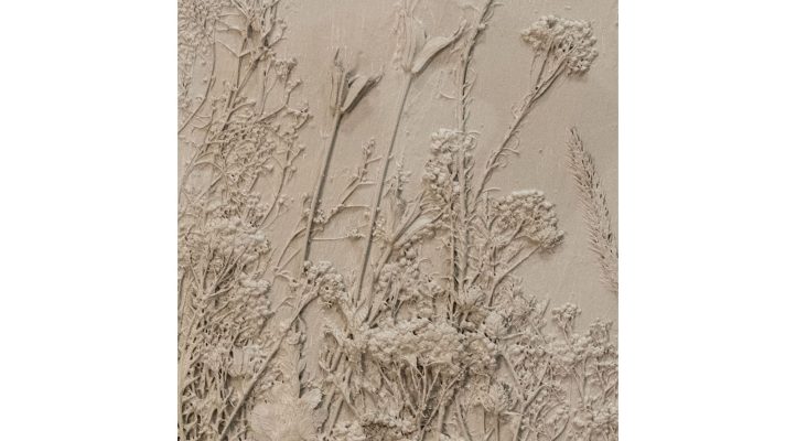 Effloresce II (6)