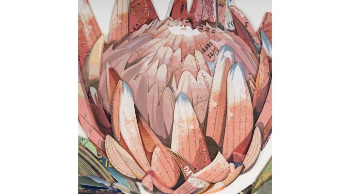Manikya Blossom II (8)