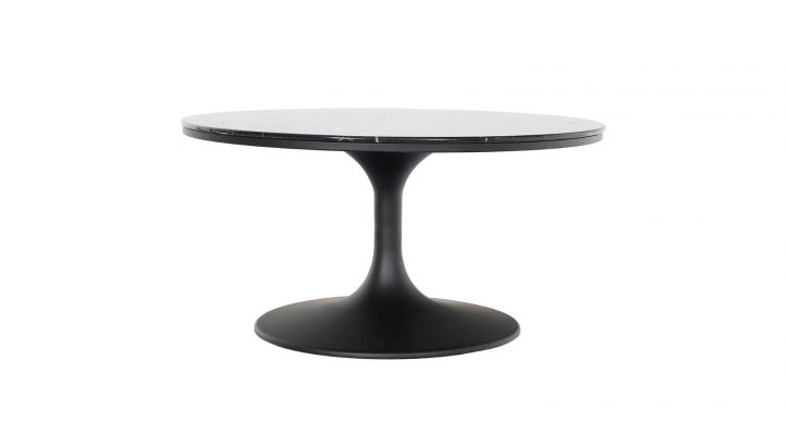 Pristine Coffee Table-2