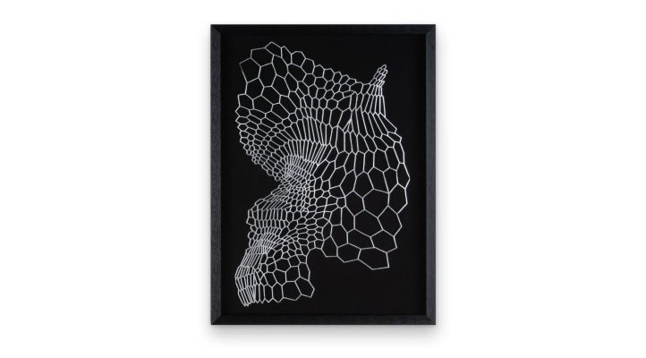 Shining Lacework (4)
