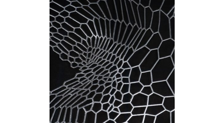 Shining Lacework (5)
