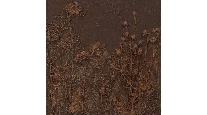 Tawny Floweret II (6)