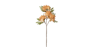 Apple Blossom Cluster 4 Bloom 39L Stem - Orange (2)