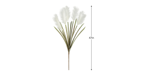 Desert Feather Pampas Grass Multi Bloom Stem (3)