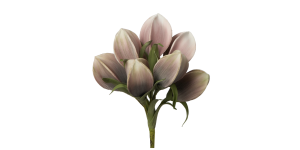 Desert Pinched Multi Pod Bouquet 31L Stem - Pink (1)