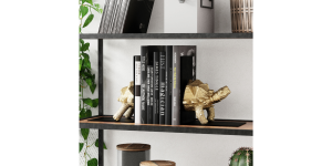 Hector, Bookends S2 (1)