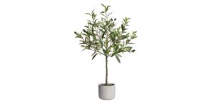 Olive Tree 28h Cement Potted Faux Plant (1)