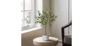 Olive Tree 28h Cement Potted Faux Plant (2)