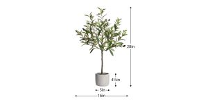 Olive Tree 28h Cement Potted Faux Plant (4)