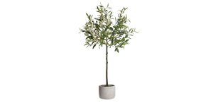 Olive Tree 37h Cement Potted Faux Plant (1)