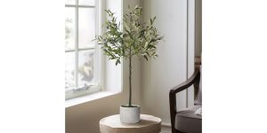 Olive Tree 37h Cement Potted Faux Plant (2)