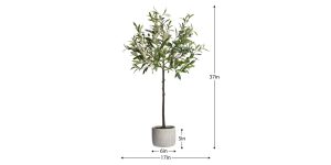 Olive Tree 37h Cement Potted Faux Plant (4)