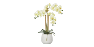 Phalaenopsis Potted 23 Faux Triple Stem Orchid -Yellow (1)
