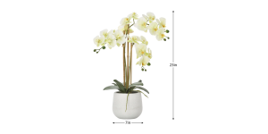 Phalaenopsis Potted 23 Faux Triple Stem Orchid -Yellow (3)