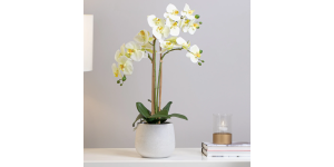 Phalaenopsis Potted 23 Faux Triple Stem Orchid -Yellow (4)