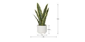 Riviera Ceramic Potted Faux 16h Snake Plant (5)