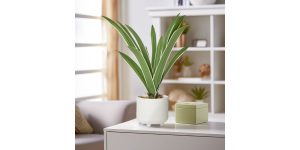 Riviera Ceramic Potted Faux 17h Cymbidium Leaf Plant (2)