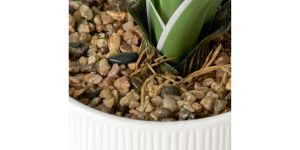 Riviera Ceramic Potted Faux 17h Cymbidium Leaf Plant (3)