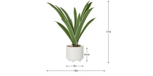 Riviera Ceramic Potted Faux 17h Cymbidium Leaf Plant (5)