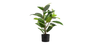 Rubber Tree 29h Faux Potted Plant (1)