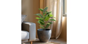 Rubber Tree 29h Faux Potted Plant (2)