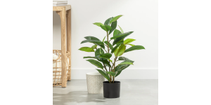 Rubber Tree 29h Faux Potted Plant (5)