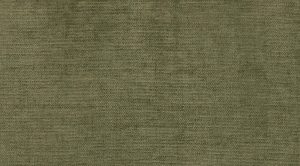 SARA--OLIVE-7