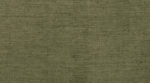 SARA--OLIVE-7