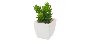 Tapered Mini Faux Succulent Potted Plant - Jellybean (1)