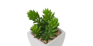 Tapered Mini Faux Succulent Potted Plant - Jellybean (4)