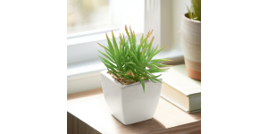 Tapered Mini Faux Succulent Potted Plant - Spike (2)