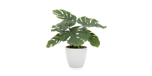 Villa 4.5d Faux Potted 10 Plant - Monstera (1)