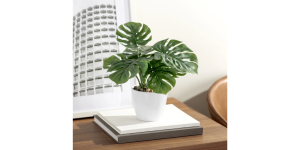 Villa 4.5d Faux Potted 10 Plant - Monstera (2)