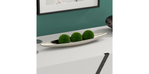 Jeune Tray (Silver) (1)
