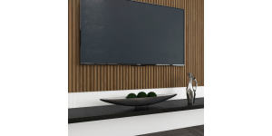 Jeune Tray (Silver) (2)