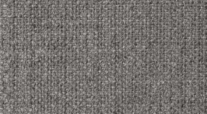 LEONIDAS-gray16