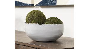 Larsen-Bowl10