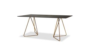 PAPILLION-GOLD-1
