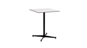 PINTO-TABLE1