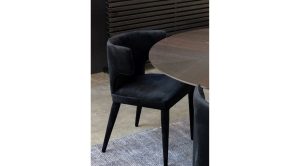 Jennaya Dining Chair-Black (2)