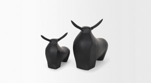 Radu-Bull-small-11