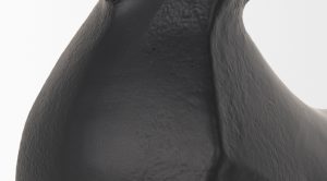 Radu-Bull-small-7