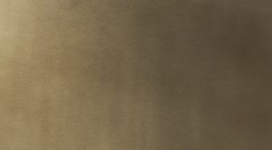Shay-large-ll14